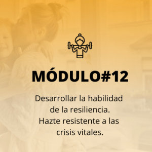 modulo programa permite