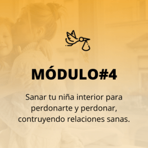 modulo programa permite