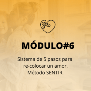 modulo programa permite