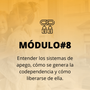 modulo programa permite