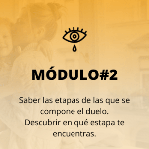 modulo programa permite