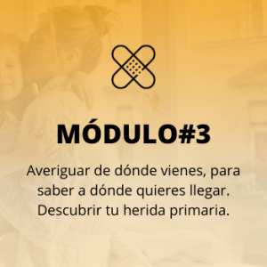 modulo programa permite