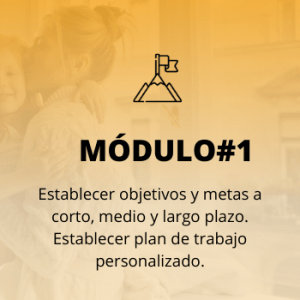 modulo programa permite